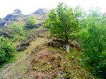 DSC01015.JPG