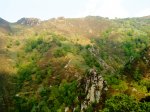 DSC01008.JPG
