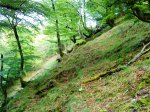 DSC01042.JPG