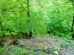 DSC01045.JPG