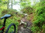 DSC01033.JPG
