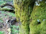 DSC01041.JPG