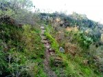 DSC01006.JPG