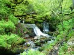 DSC01039.JPG