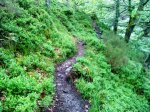 DSC01036.JPG
