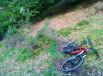 DSC01022.JPG