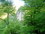 DSC01046.JPG