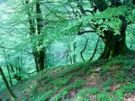 DSC01028.JPG