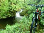 DSC01040.JPG