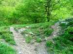 DSC01049.JPG