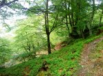 DSC01030.JPG