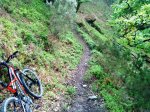 DSC01020.JPG