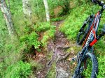 DSC01035.JPG