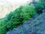 DSC01044.JPG