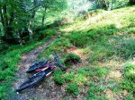 DSC01026.JPG