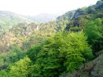DSC01010.JPG
