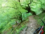 DSC01048.JPG
