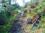 DSC01018.JPG