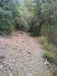 DSC00058.JPG