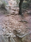 DSC00066.JPG