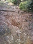 DSC00067.JPG