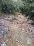 DSC00059.JPG