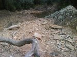 DSC00062.JPG