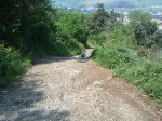IMG083.jpg
