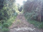 IMG084.jpg