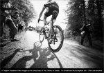lbl11-solo.jpg