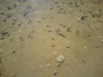 DSC05359.JPG