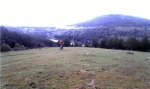 IMAG0411-2.jpg
