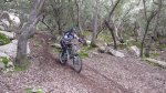 IMG_2245.jpg