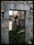 Brion 6.jpg