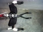 IMG00970-20110429-1102.jpg