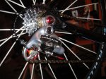 DSC05547.JPG