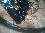 IMG00132-20110429-1705.jpg
