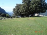 DSC02029.jpg
