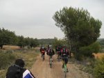 SDC11190.JPG