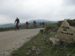 SDC11203.JPG