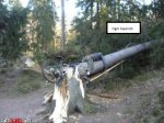 mountain-bike-fail-bike-mountain-epic-fail-1290094574 - copia.jpg