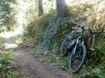 sendero2.jpg
