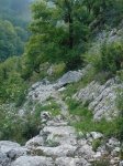 malla-escaleras arantzazu 001.jpg