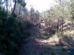 20032011(018).jpg