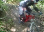 P1010089-2.jpg