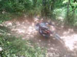 P1010100-2.jpg