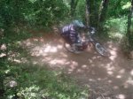 P1010103-2.jpg