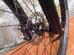 IMG00104-20110501-1038.jpg