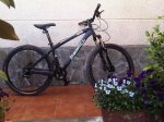 IMG00098-20110501-1028.jpg