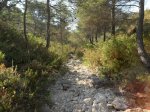 Ruta 5.jpg